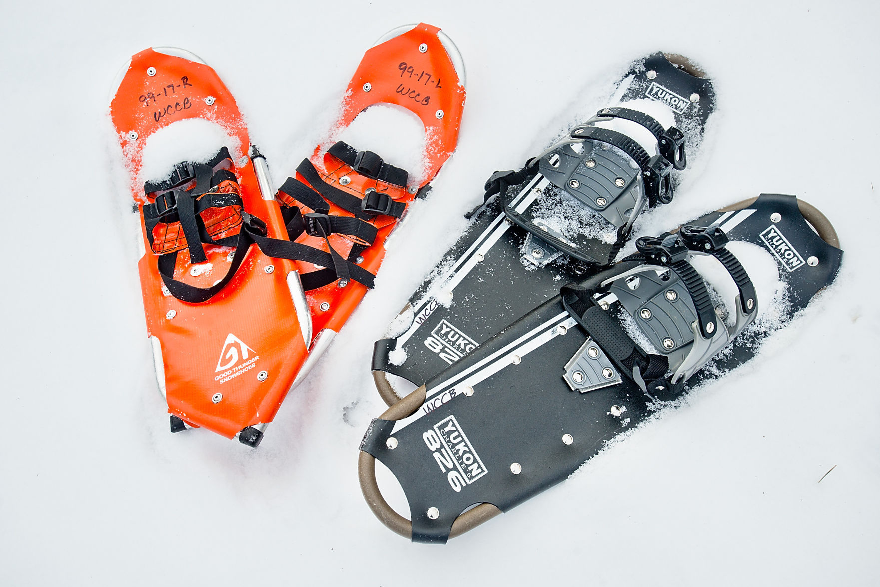Snowshoeing Demonstration